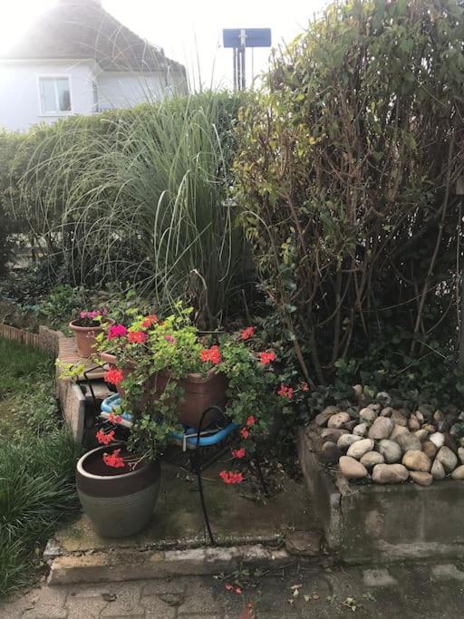 Appartement A La Decouverte De Strasbourg Bischheim Ngoại thất bức ảnh